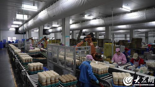 德州天衢新區(qū)食品企業(yè)開足馬力忙生產(chǎn) 節(jié)日保供 舌尖上的美味